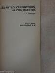 Levantad, carpinteros, la viga maestra/Seymour: una introducción