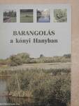 Barangolás a kónyi Hanyban