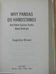 Why pandas do handstands