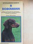 A dobermann