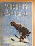 Wonders in Winterland