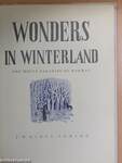 Wonders in Winterland