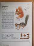 The Illustrated Book of Animal Life