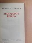 Harmatos Rózsa