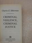 Criminal Violence, Criminal Justice