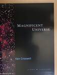 Magnificent Universe