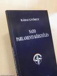 NATO parlamenti közgyűlés