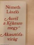 Aurél a Kékesre megy/Akasztófavirág