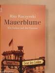 Mauerblume