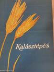 Kalásztépés