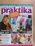 Praktika 2007. február