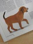 Kutyatulajdonosok kézikönyve