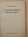 A neandervölgyi főkönyvelő