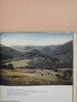 In the Bieszczady Mountains