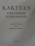 Kakteen und andere Sukkulenten