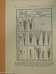 Természettudományi Közlöny 1942. január-december/Pótfüzetek a Természettudományi Közlönyhöz 1942. január-december