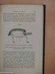 Guide to the Galleries of Reptiles and Fishes In the Department of Zoology of the British Museum (Natural History)