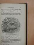 Guide to the Galleries of Reptiles and Fishes In the Department of Zoology of the British Museum (Natural History)