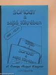 Somogy a sajtó tükrében 1989. I. félév