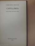 Capillária