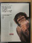 Scientific American May 1997