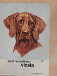 How to raise and train a vizsla