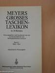 Meyers grosses Taschenlexikon in 24 Bänden 3 (töredék)