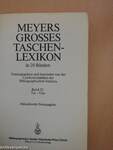 Meyers grosses Taschenlexikon in 24 Bänden 22 (töredék)