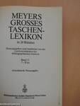Meyers grosses Taschenlexikon in 24 Bänden 11 (töredék)