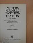 Meyers grosses Taschenlexikon in 24 Bänden 23 (töredék)