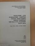 Neolithic and eneolithic chipped stone industries from Šarišské Michal'any, eastern Slovakia