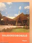 Hajdúszoboszló