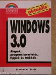 Windows 3.0