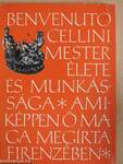 Benvenuto Cellini mester élete és munkássága