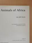 Animals of Africa