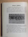 A Budapesti Ujságirók Egyesülete 1910-ik évi almanachja