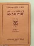 Taschenbuch der Anatomie I. (töredék)