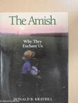 The Amish