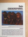 Dein Cockerspaniel