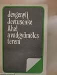 Ahol a vadgyümölcs terem