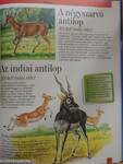Közép- és Dél-Ázsia állatvilága