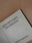 Képzőművészet - Pécs-Baranya (minikönyv)