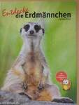 Entdecke die Erdmännchen