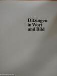 Ditzingen in Wort und Bild