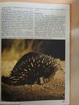 Australia, New Zealand Encyclopedia 6. (töredék)