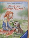 Wie lebt der kleine Hund?