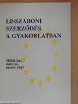 Lisszaboni szerződés a gyakorlatban