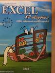 Excel XP alapokon