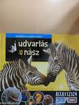 Udvarlás és nász