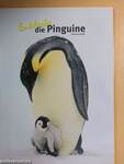 Entdecke die Pinguine